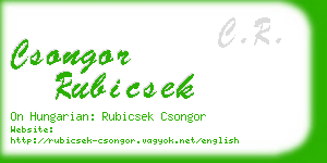 csongor rubicsek business card